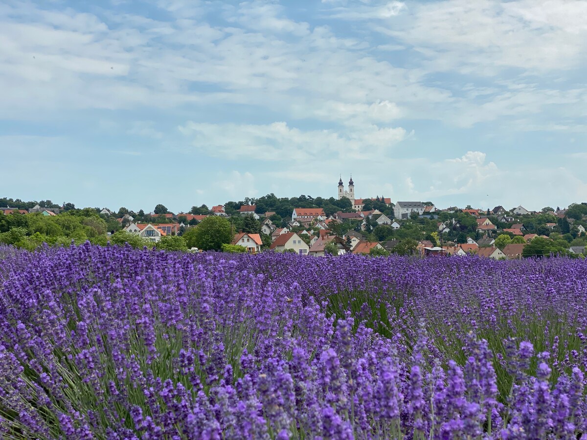 A vibrant field of purple lavender extends toward the horizon, with the village of Tihany visible in the background. Historical buildings with distinctive towers rise among the colorful rooftops under a blue sky dotted with clouds.