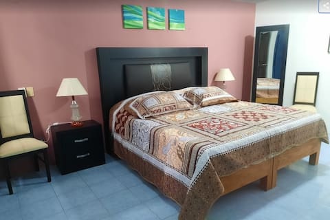 Top performing Airbnb: Spacious, private house, ideal for work and rest. in Celaya