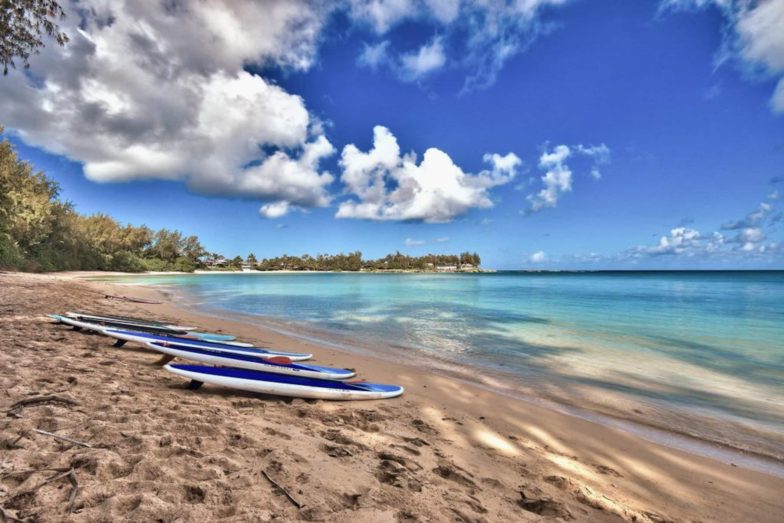 Home in Kahuku · ★4.71 · 2 bedrooms · 2 beds · 2 private baths - Image 6