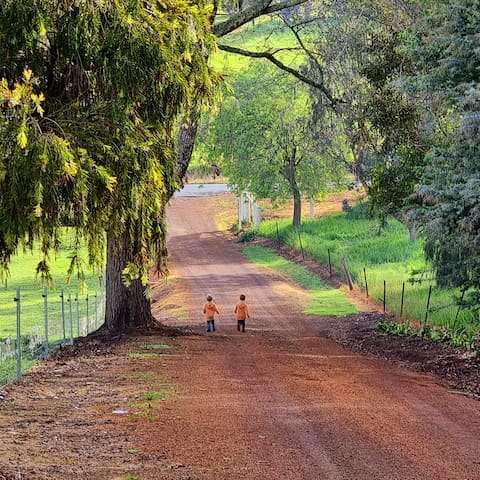 4 Bedroom Cosy Sunnyhurst Chalet