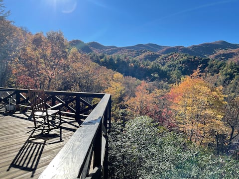 Rustic Blue Ridge Cabin with 180° Panoramic Views