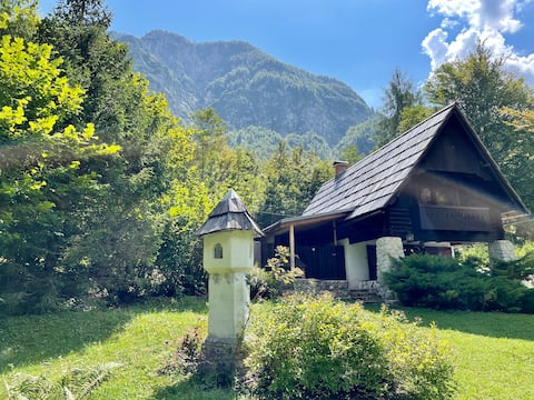 Red Beech Cabin - Lake Bohinj retreat