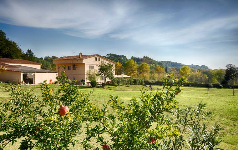 CASA DORMESTANY CON PISCINA Y JARDÍN (21 PERSONAS) gallery image 5