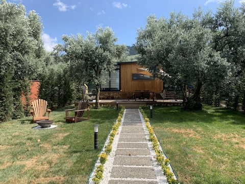 Tiny House Village | Olive | Tiny house w/jakuzzi