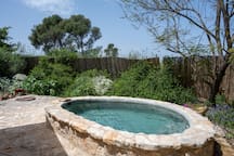 Shadmot Dvora Lavender