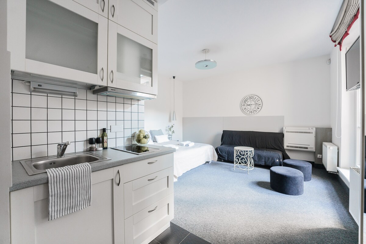 An open-plan living area features a compact kitchen with a sink and white cabinetry. A black sofa bed and a round ottoman are positioned nearby, along with a minimalist coffee table. Natural light filters in through large windows, illuminating the light-colored walls.