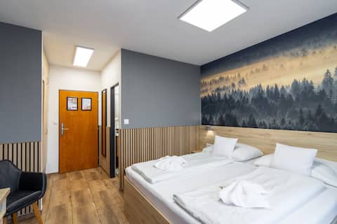 Hotel room no. 6 in Hotel U Kociána
