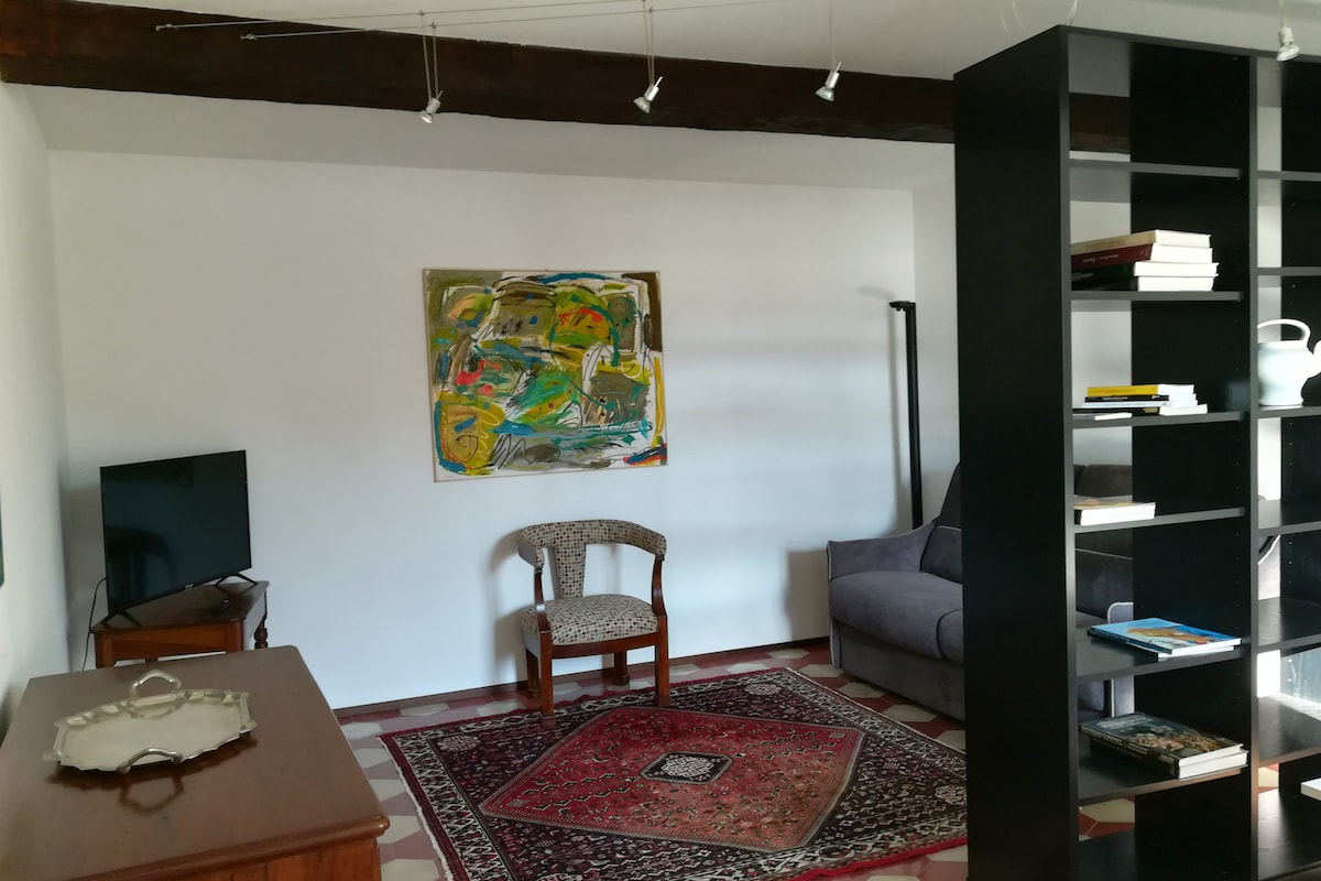 Top Airbnb: Apartment in the heart of Piacenza: Old Europe in Piacenza