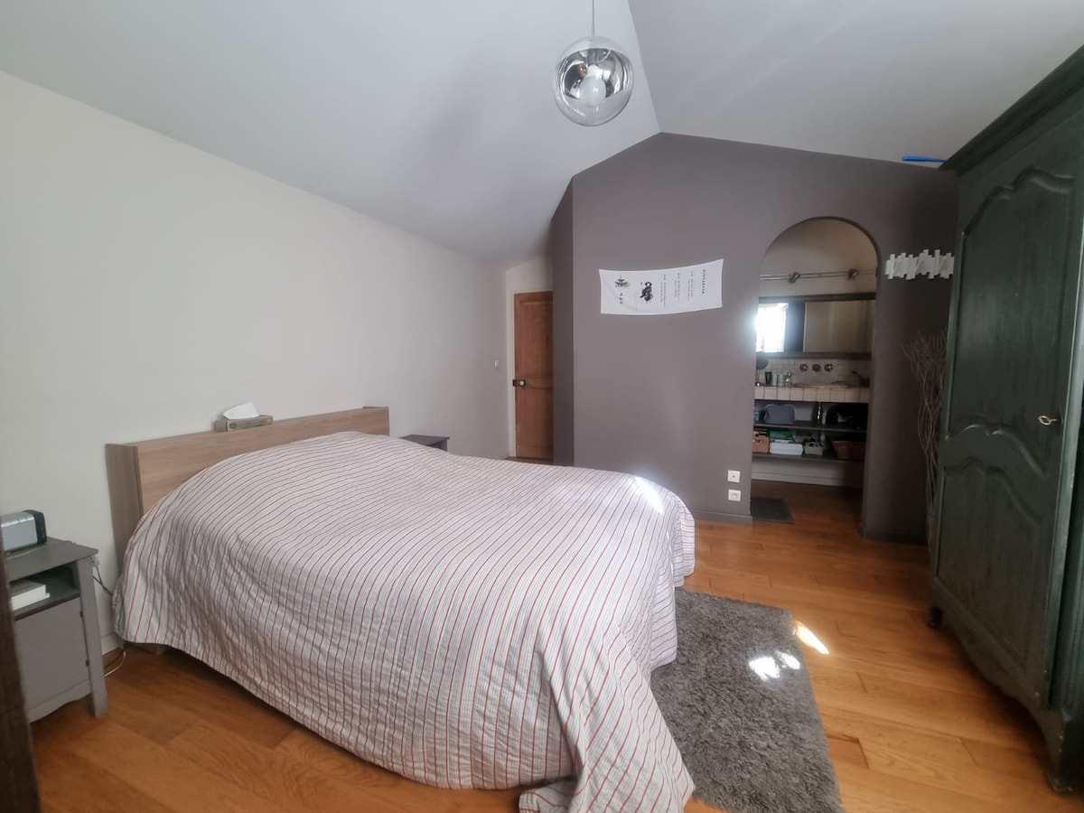 Klimatizirani glavni apartman s tušem