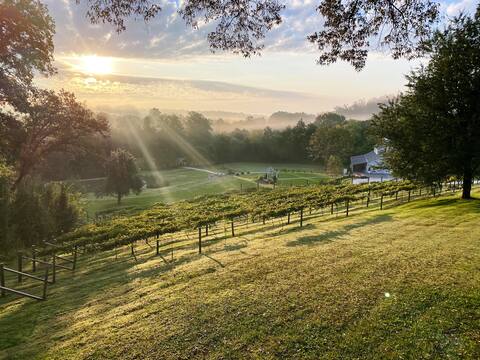 East TN Manor with mountain views, pool, hot tub