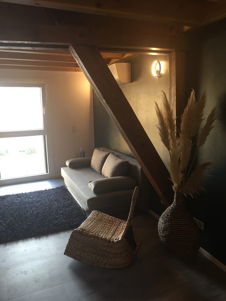 Petit Studio Privatif - Obernai