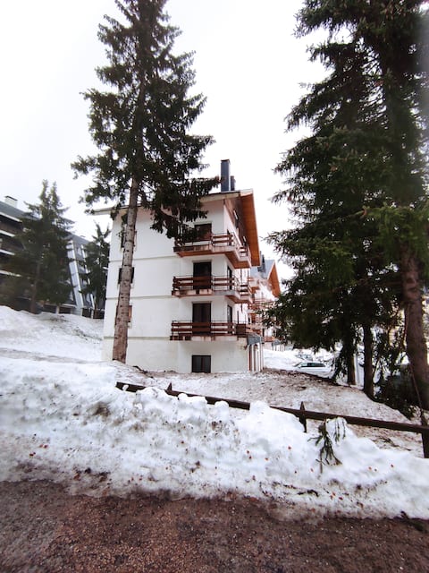 Apartment in Candanchu