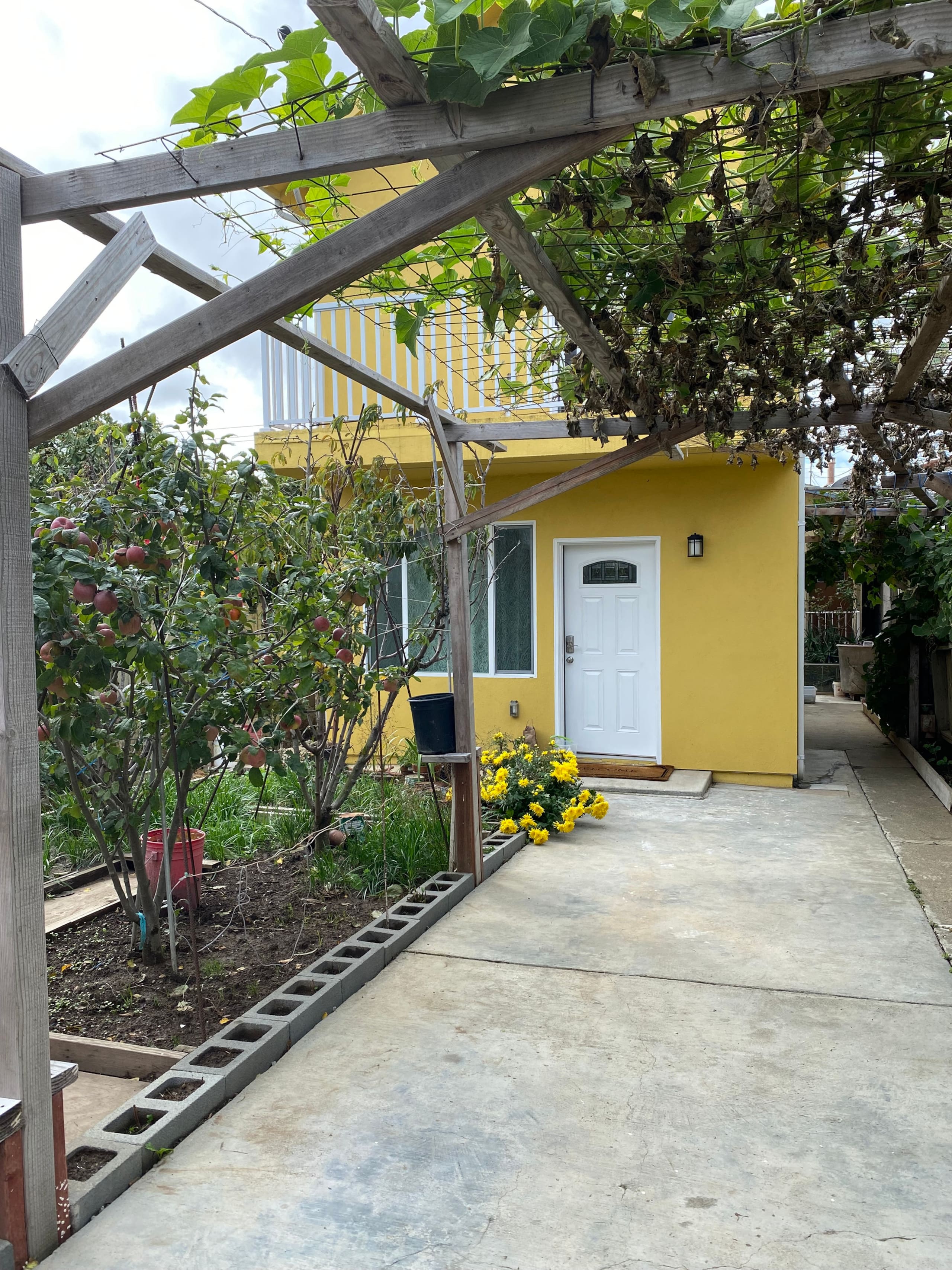 Guesthouse in South San Francisco · ★4.87 · 3 bedrooms · 3 beds · 3 private baths - Image 23