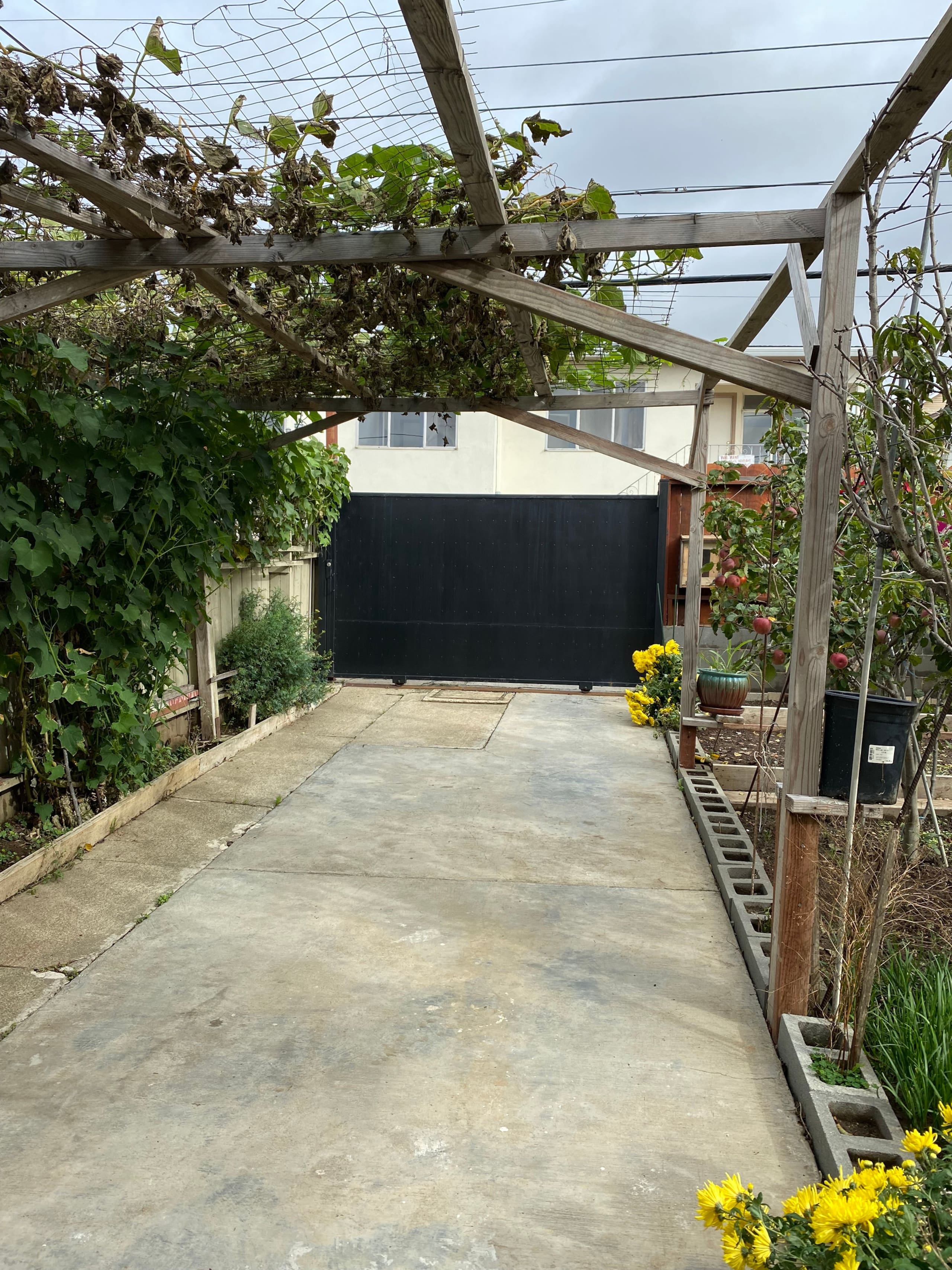 Guesthouse in South San Francisco · ★4.87 · 3 bedrooms · 3 beds · 3 private baths - Image 18