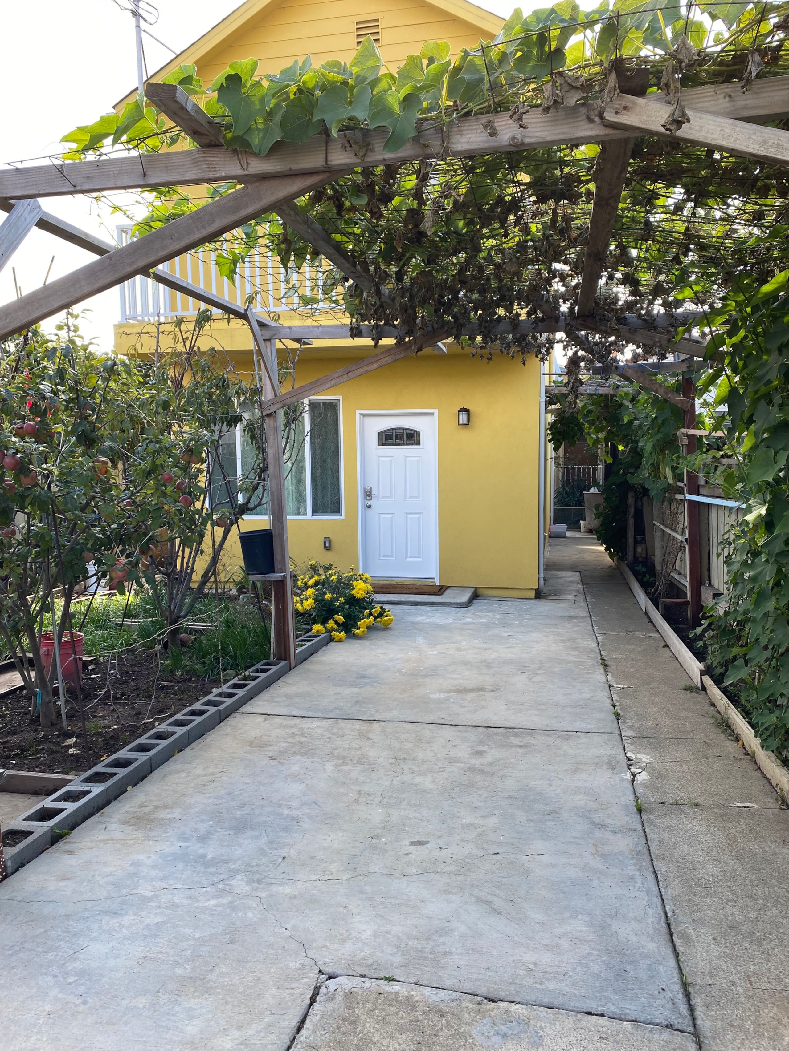 Guesthouse in South San Francisco · ★4.87 · 3 bedrooms · 3 beds · 3 private baths - Image 22