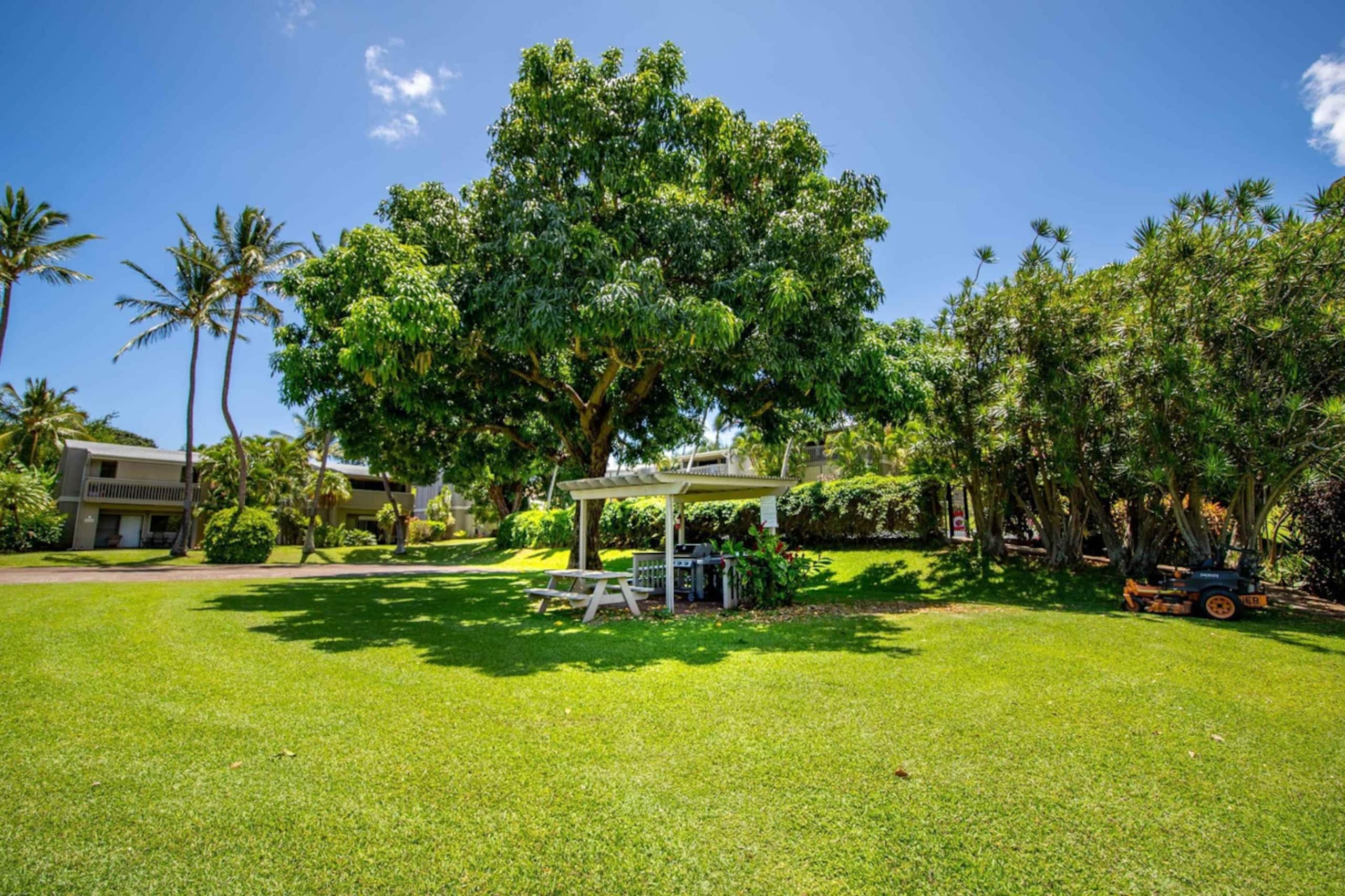 Condo in Lahaina · ★5.0 · Studio · 2 beds · 1 bath - Image 27