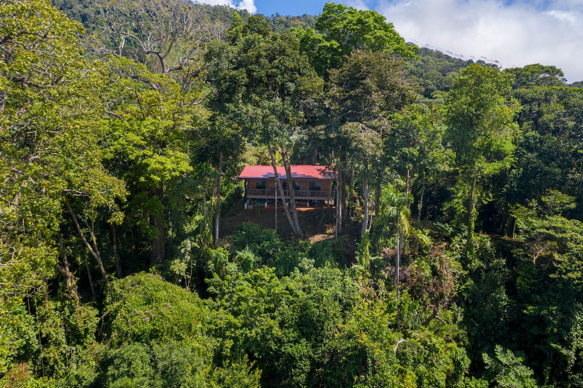 View of Costa Rica Treehouse Vacation Rentals | Airbnb