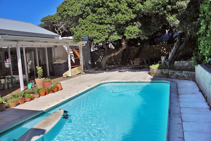 Under the Milkwoods by the Sea gallery image 3