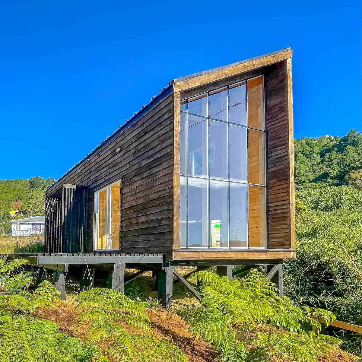 A modern wooden structure exhibits a unique angular design, elevated on stilts. Large glass panels reflect the bright blue sky and lush greenery, allowing natural light to fill the interior space. Surrounding ferns add to the connection with nature in the tranquil setting.