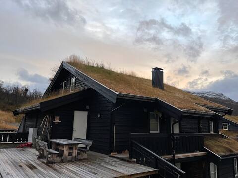 Apartment on the high mountain (Filefjell v/Jotunheimen)