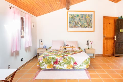 Studio flat with conservatory and garden