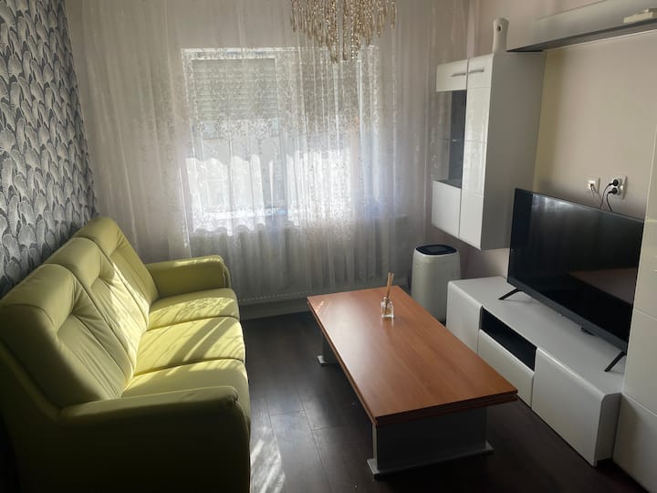 Newly Renovated Chic Apartment Close To Downtown - Satu Mare