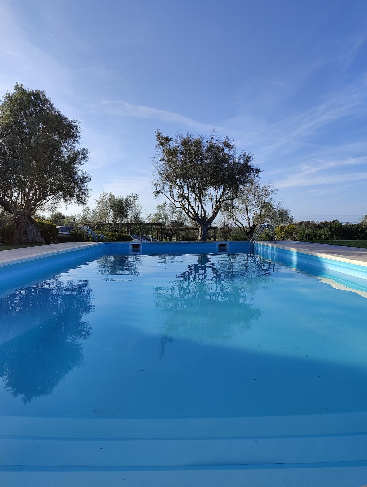 A tranquil swimming pool is surrounded by lush greenery, reflecting the clear blue sky and trees in its calm water. The pool features clear edges and steps leading in, creating an inviting space for relaxation.