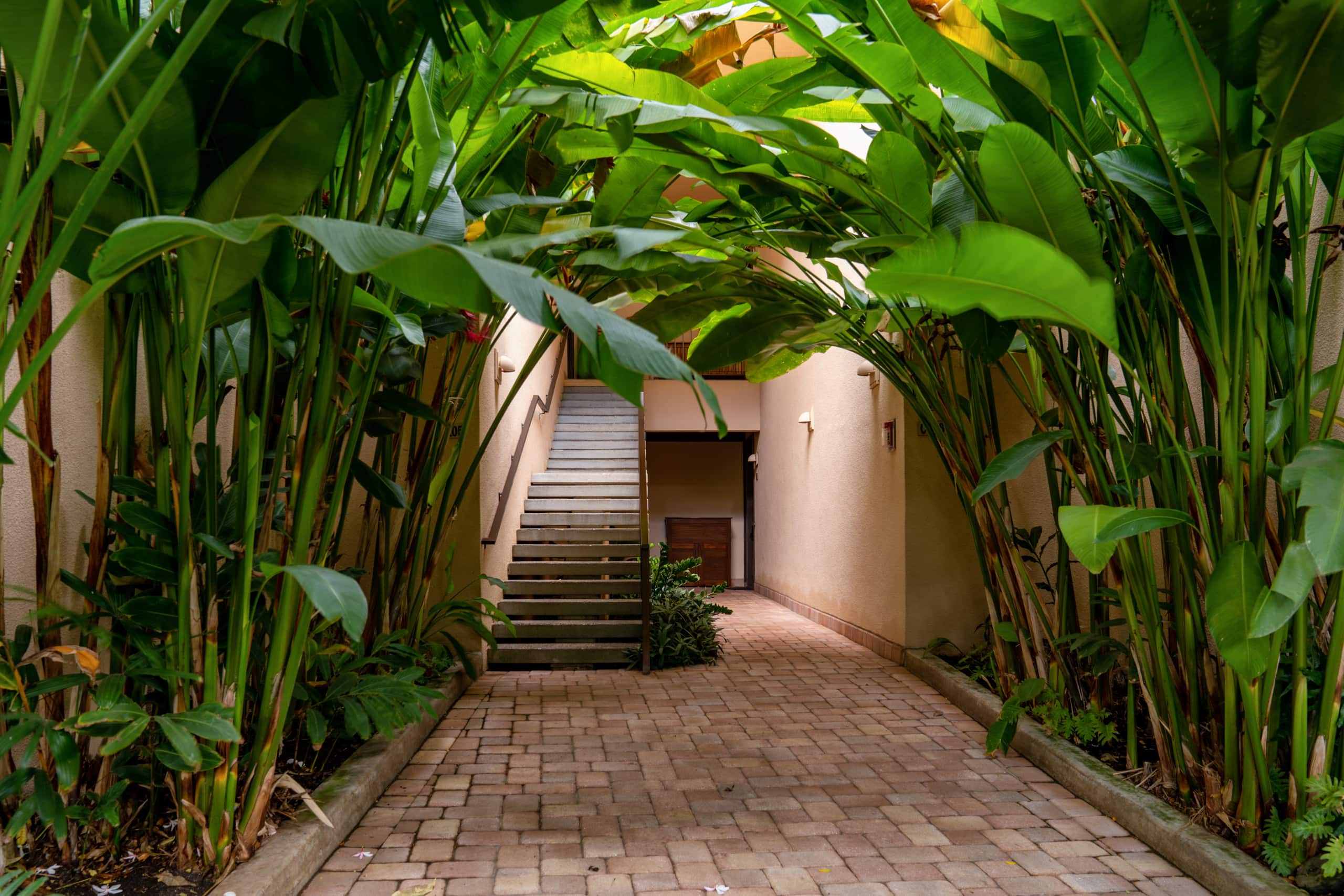Condo in Kihei · ★4.96 · 2 bedrooms · 4 beds · 2 baths - Image 30