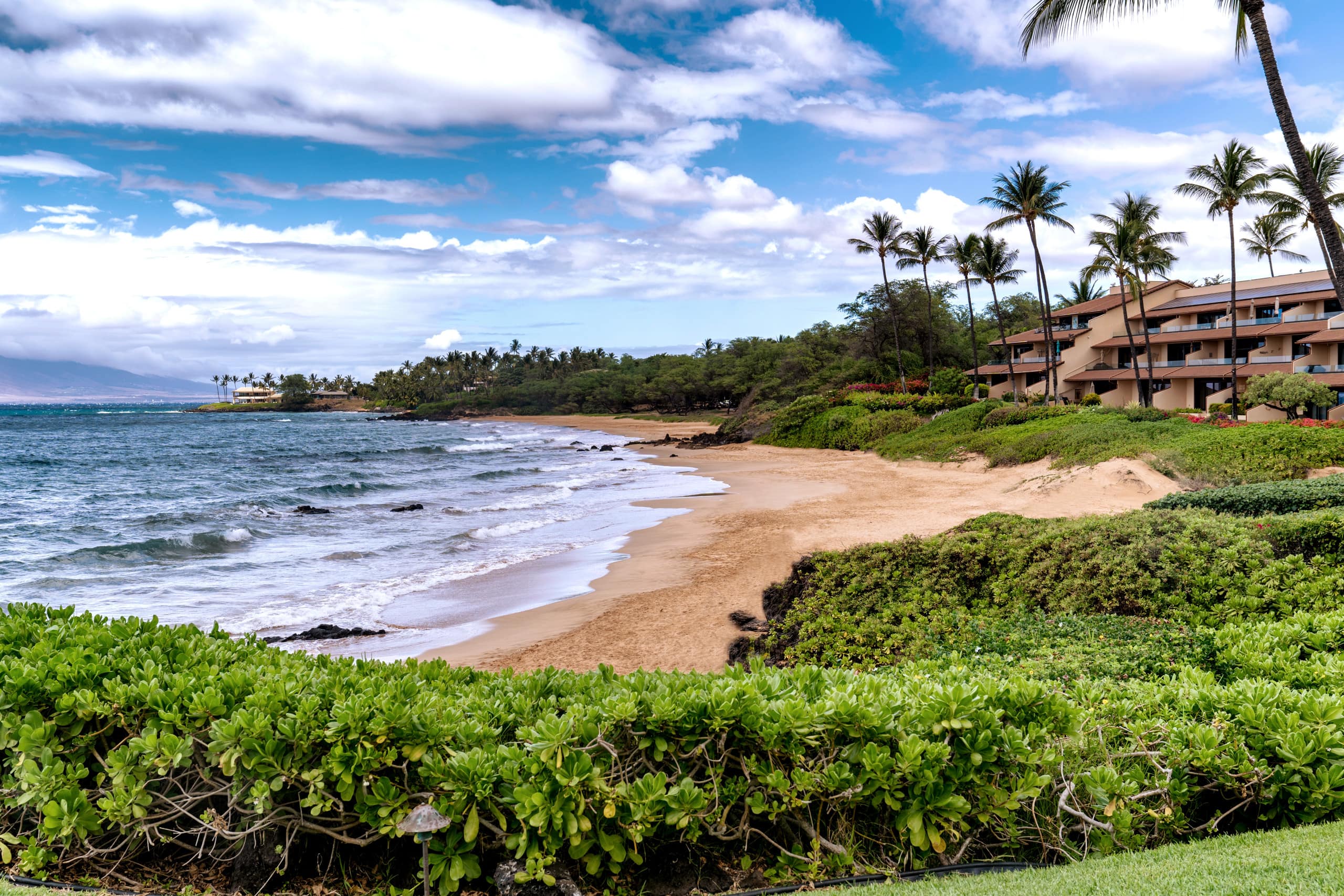 Condo in Kihei · ★4.96 · 2 bedrooms · 4 beds · 2 baths - Image 38