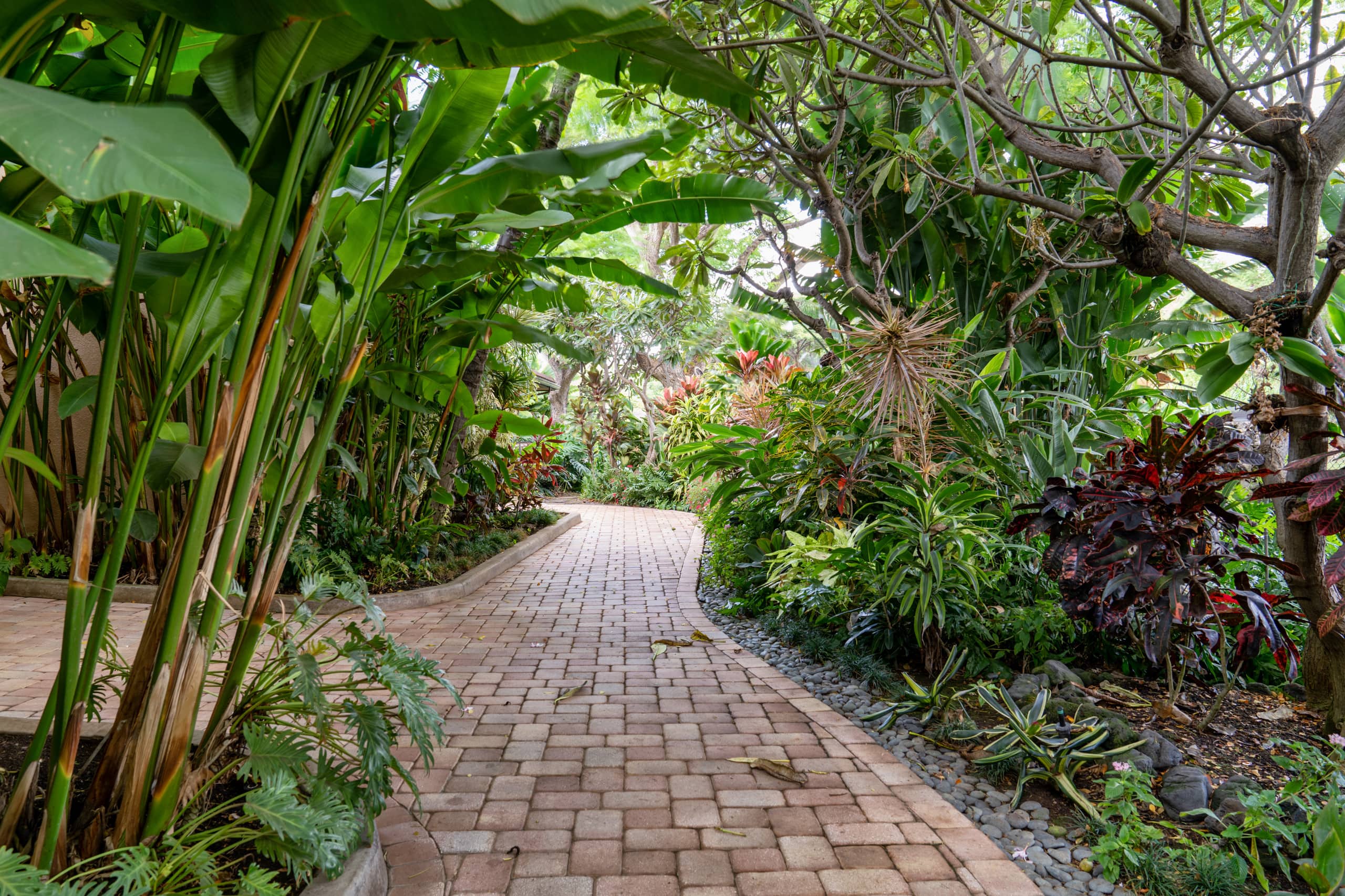Condo in Kihei · ★4.96 · 2 bedrooms · 4 beds · 2 baths - Image 31