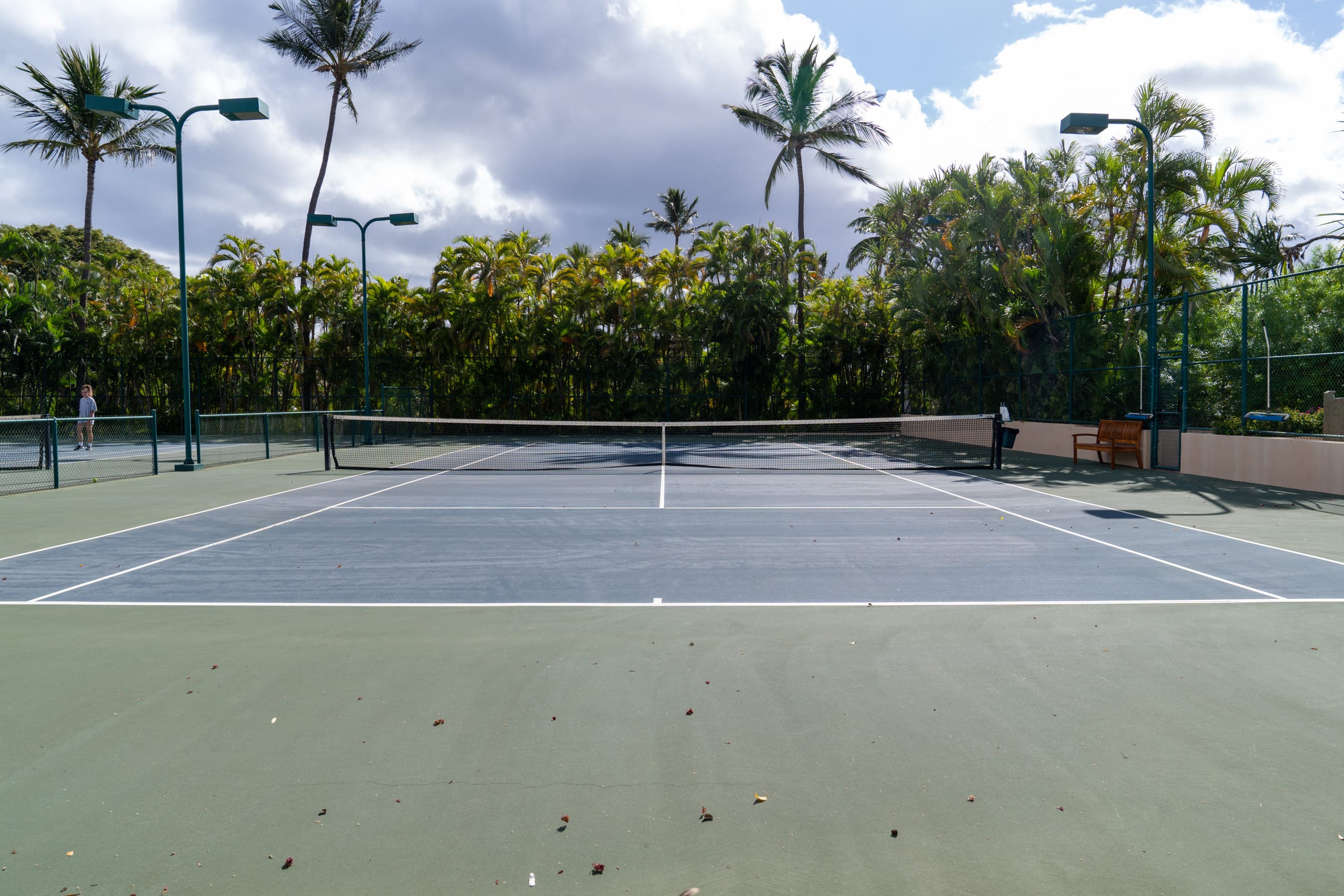 Condo in Kihei · ★4.96 · 2 bedrooms · 4 beds · 2 baths - Image 34