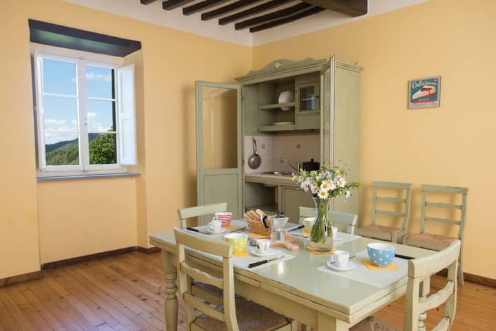 A Real Farm In Tuscany / Pian Del Collo - Sansepolcro