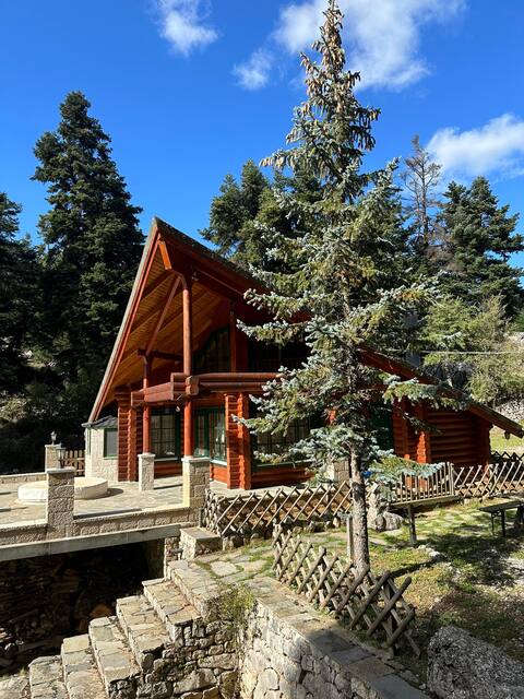 Luxury Chalet