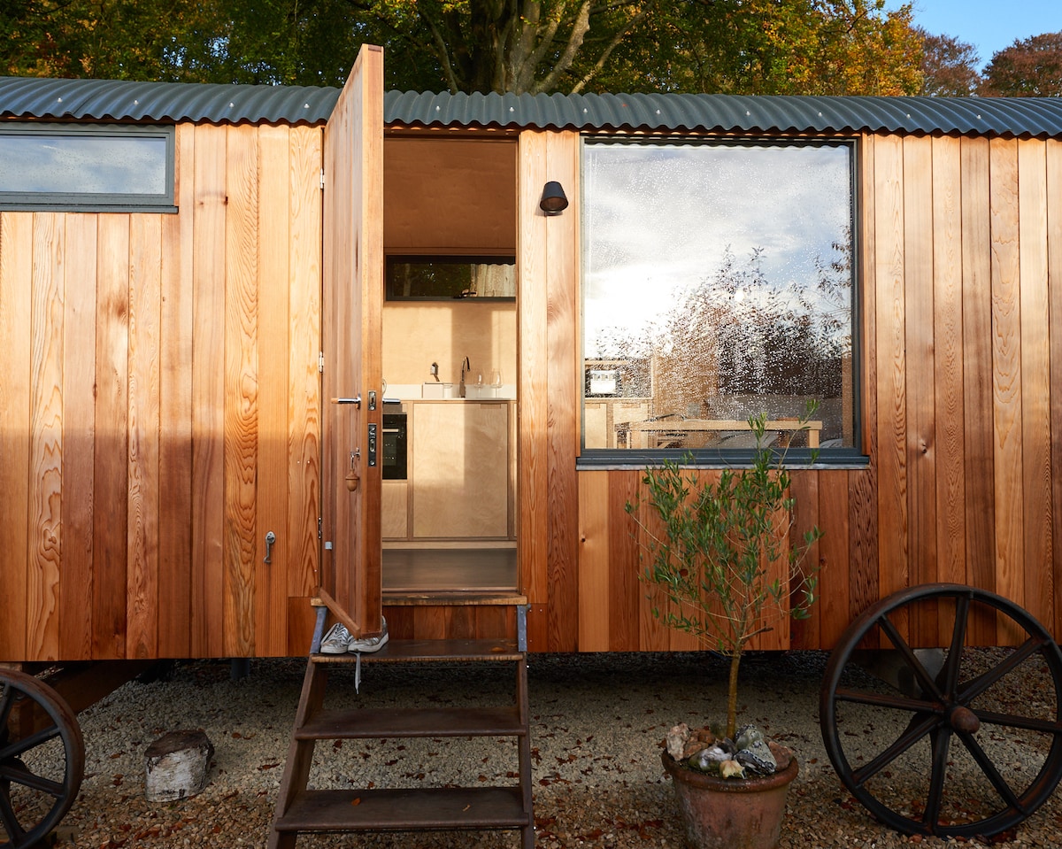 The exterior of Hut64 showcases a warm cedar-clad facade and a welcoming entrance with an open door. A small set of stairs leads to the interior, while a large window reveals light spilling into the space. Unique decorative wheels provide a rustic touch.