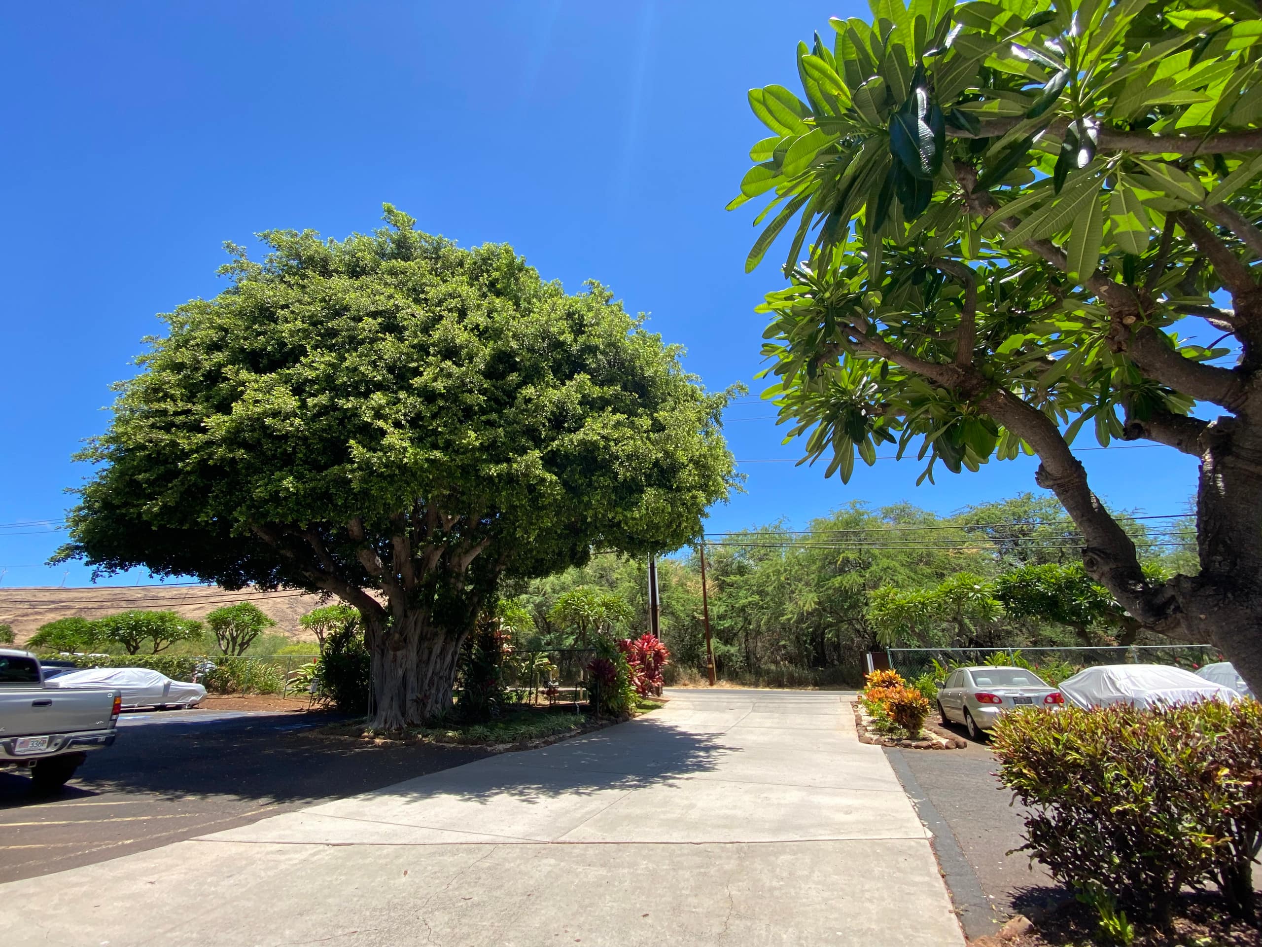 Condo in Wailuku · ★4.92 · 1 bedroom · 2 beds · 1 private bath - Image 14