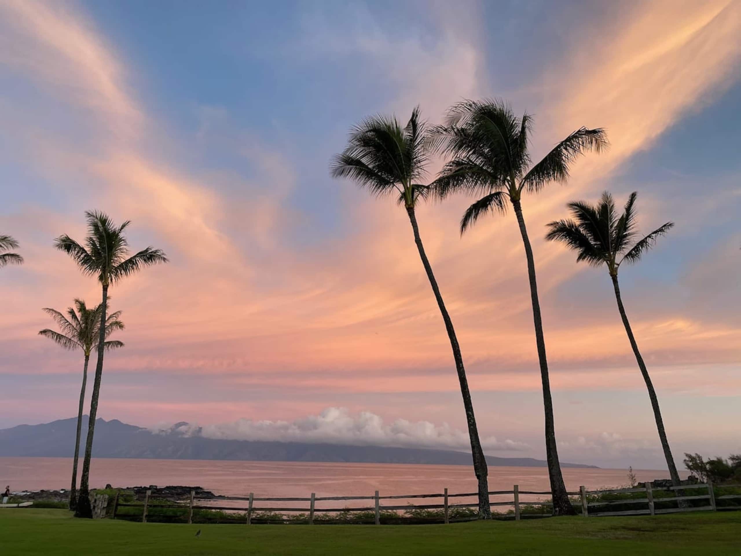 Condo in Lahaina · ★4.99 · 1 bedroom · 2 beds · 2 baths - Image 52