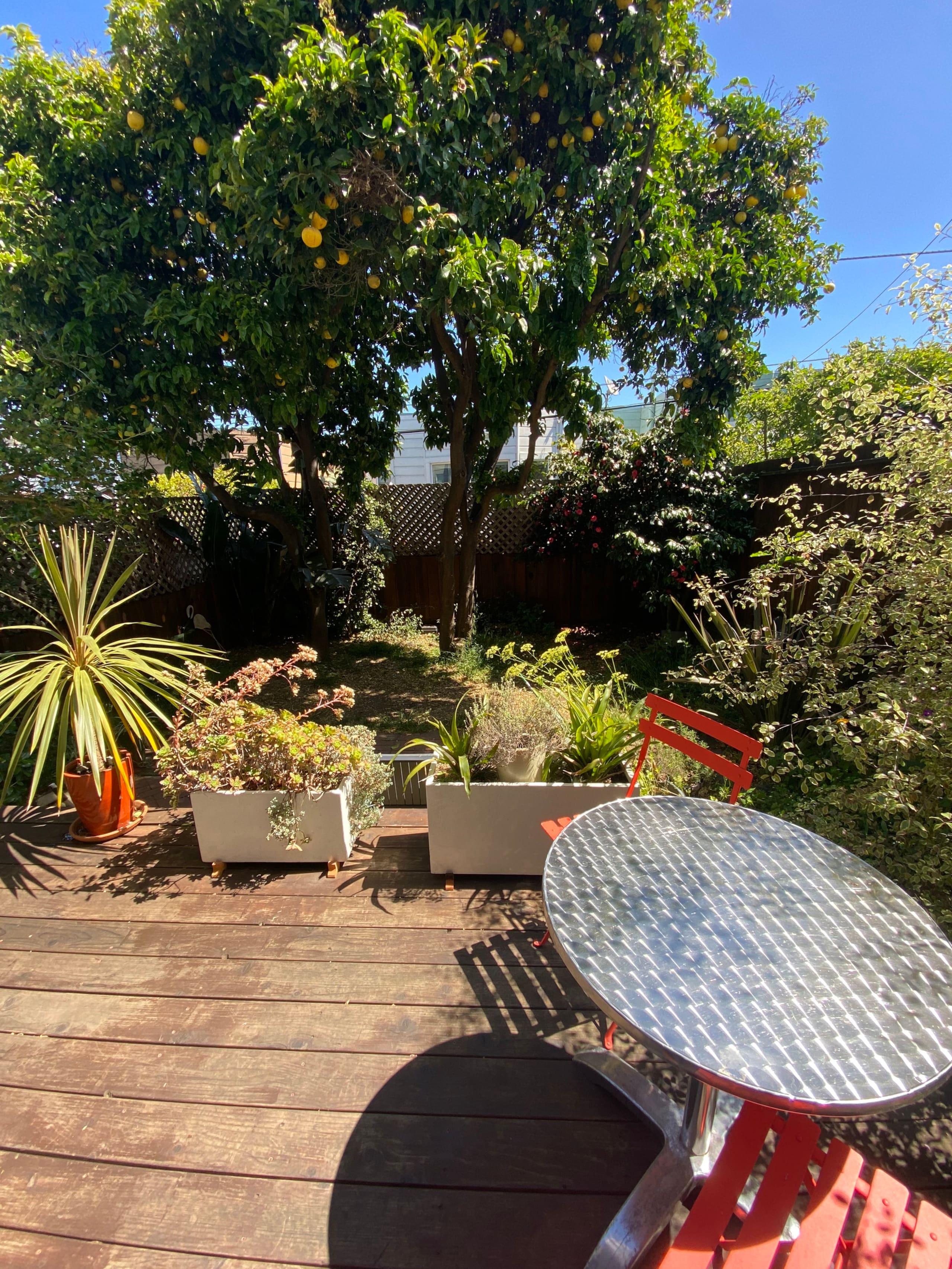Peaceful garden space in nice neighborhood in SF - Image 11