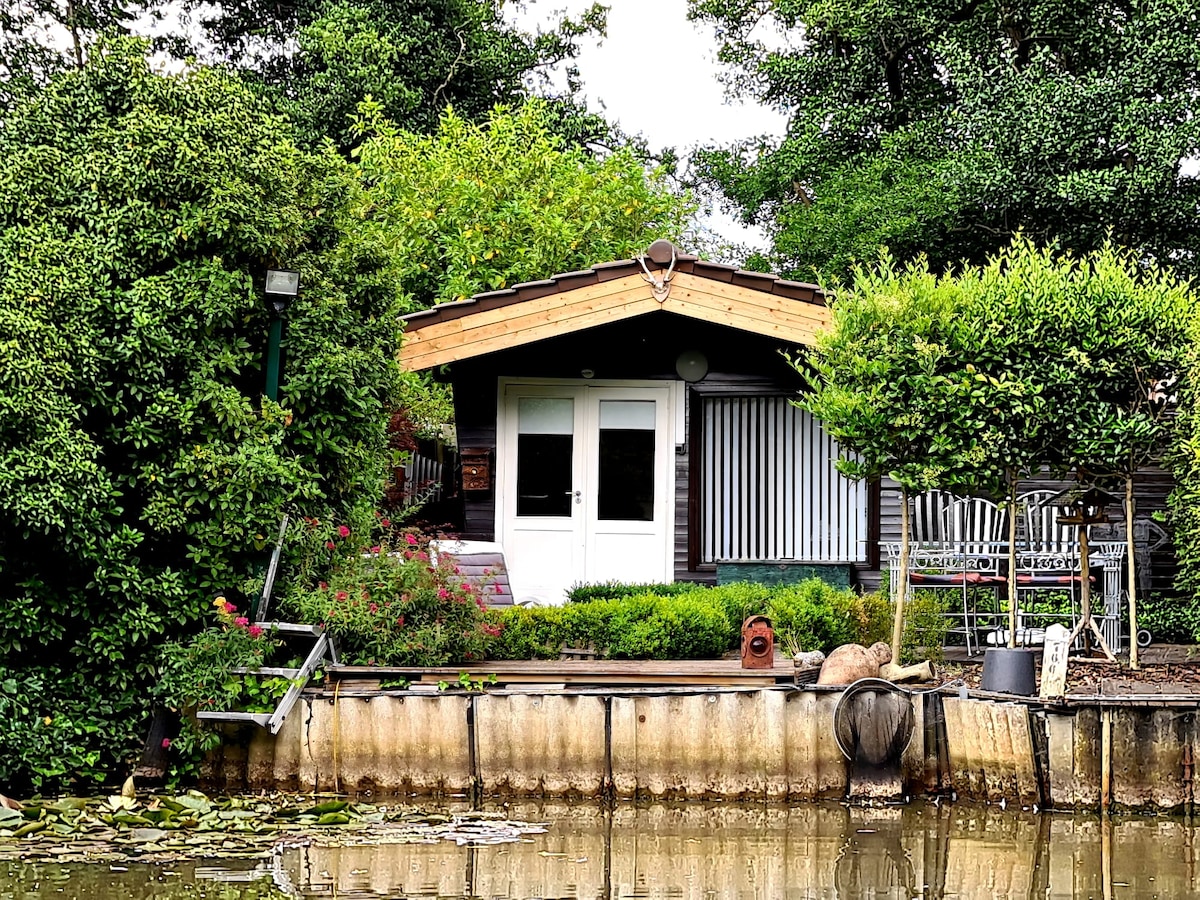 A tranquil cabin is set against lush greenery, with a sloped roof and large glass doors. The exterior features a stone patio area and decorative greenery, reflecting a serene environment by the water's edge. The surrounding landscape includes well-maintained shrubs and trees.