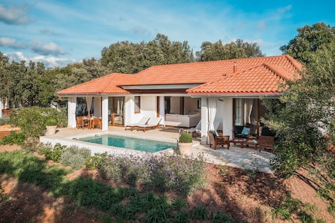 Luxury Beachside Villa with swimming pool