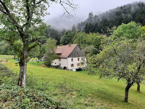 Cozy mountain cottage