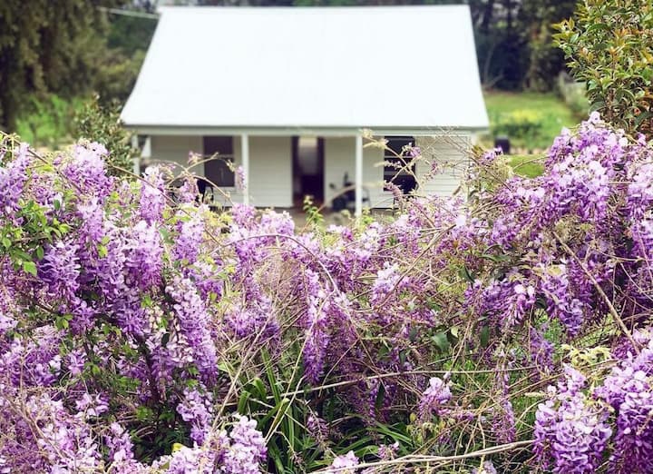 Myrtleford Holiday Rentals & Homes Victoria, Australia Airbnb