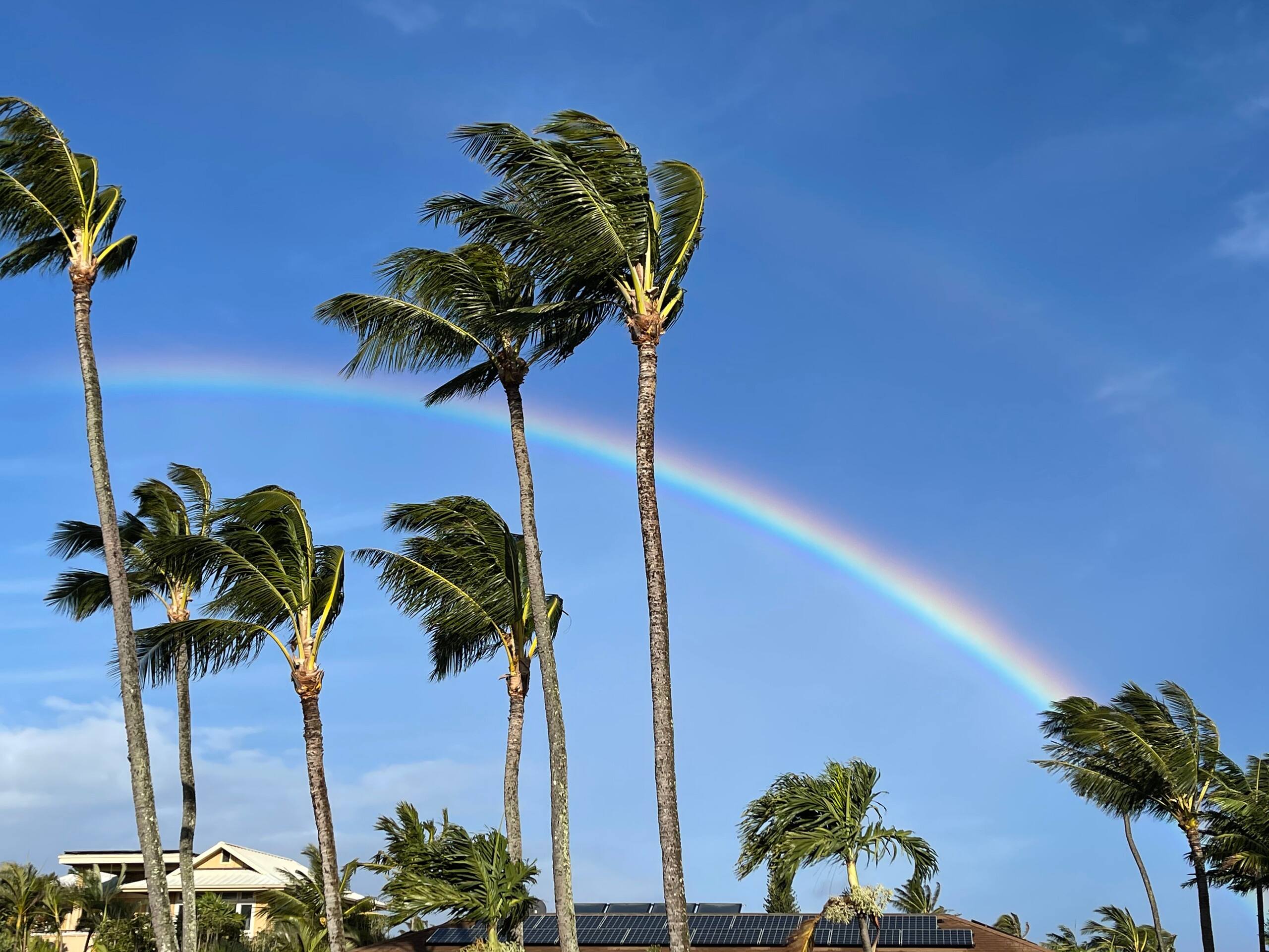 Condo in Paia · ★4.86 · 1 bedroom · 2 beds · 1 private bath - Image 18
