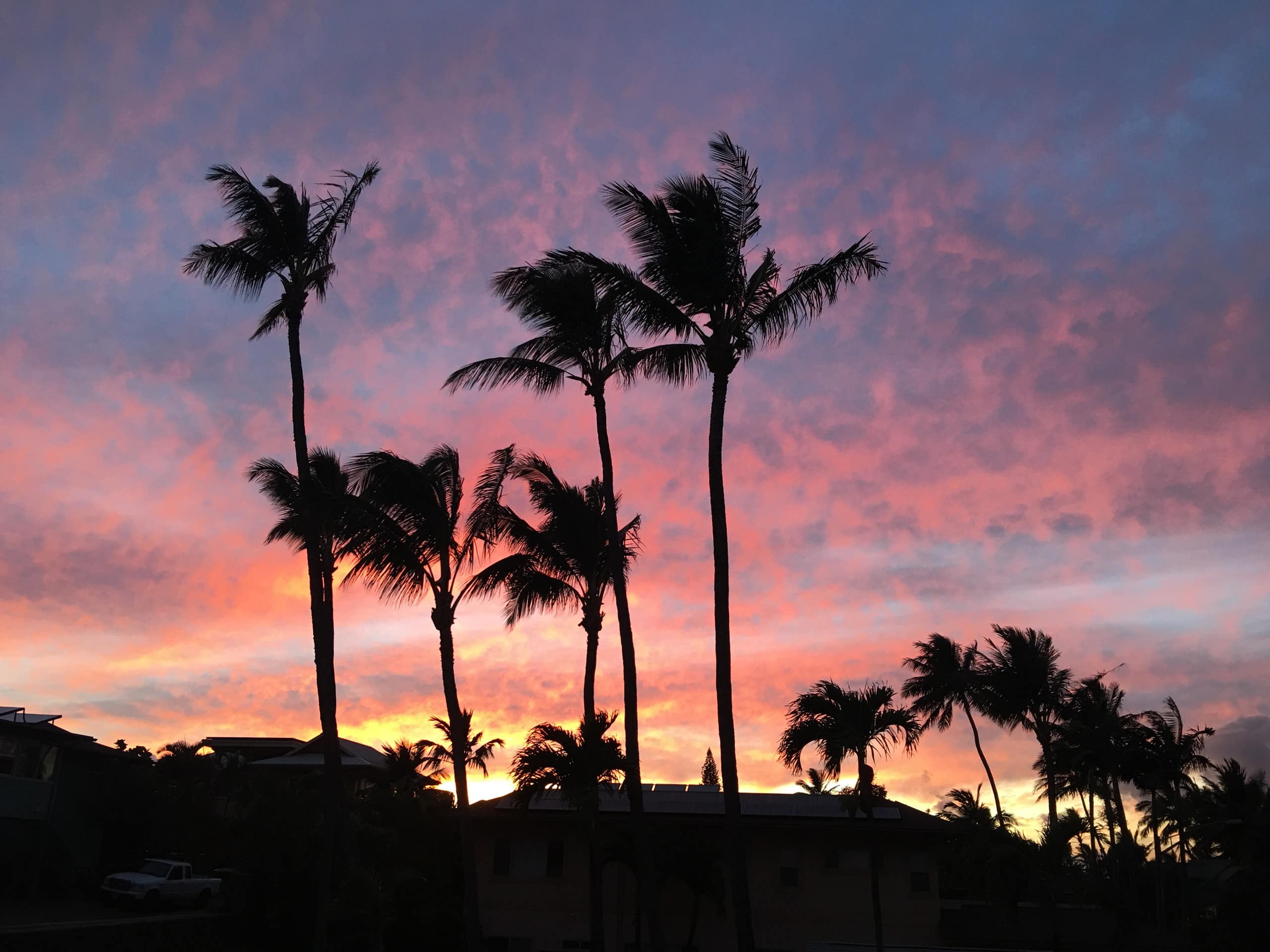 Condo in Paia · ★4.86 · 1 bedroom · 2 beds · 1 private bath - Image 3