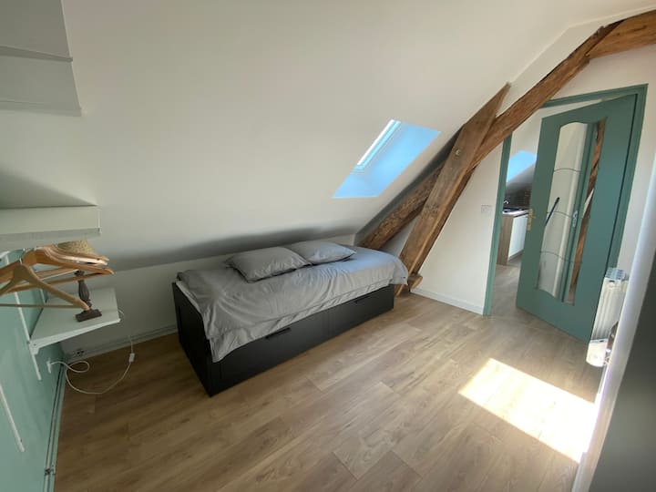 Habitación con un sofá cama, trastero y un cuarto de baño (ducha, lavabo).