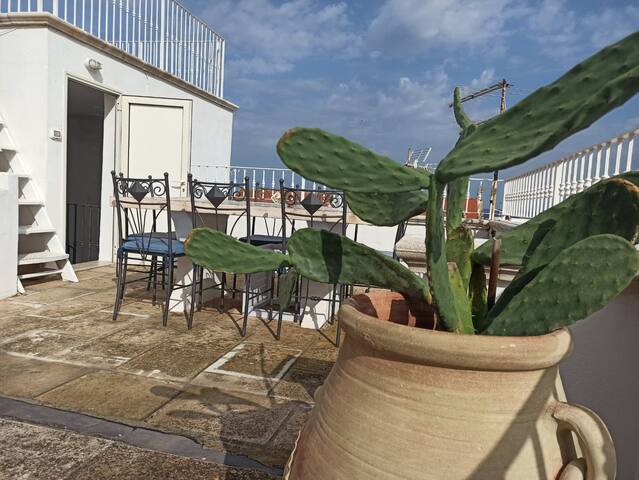 Appartamento con splendida terrazza panoramica gallery image 3