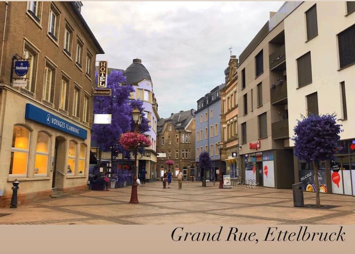 Luxembourg Holiday Rentals & Homes Airbnb