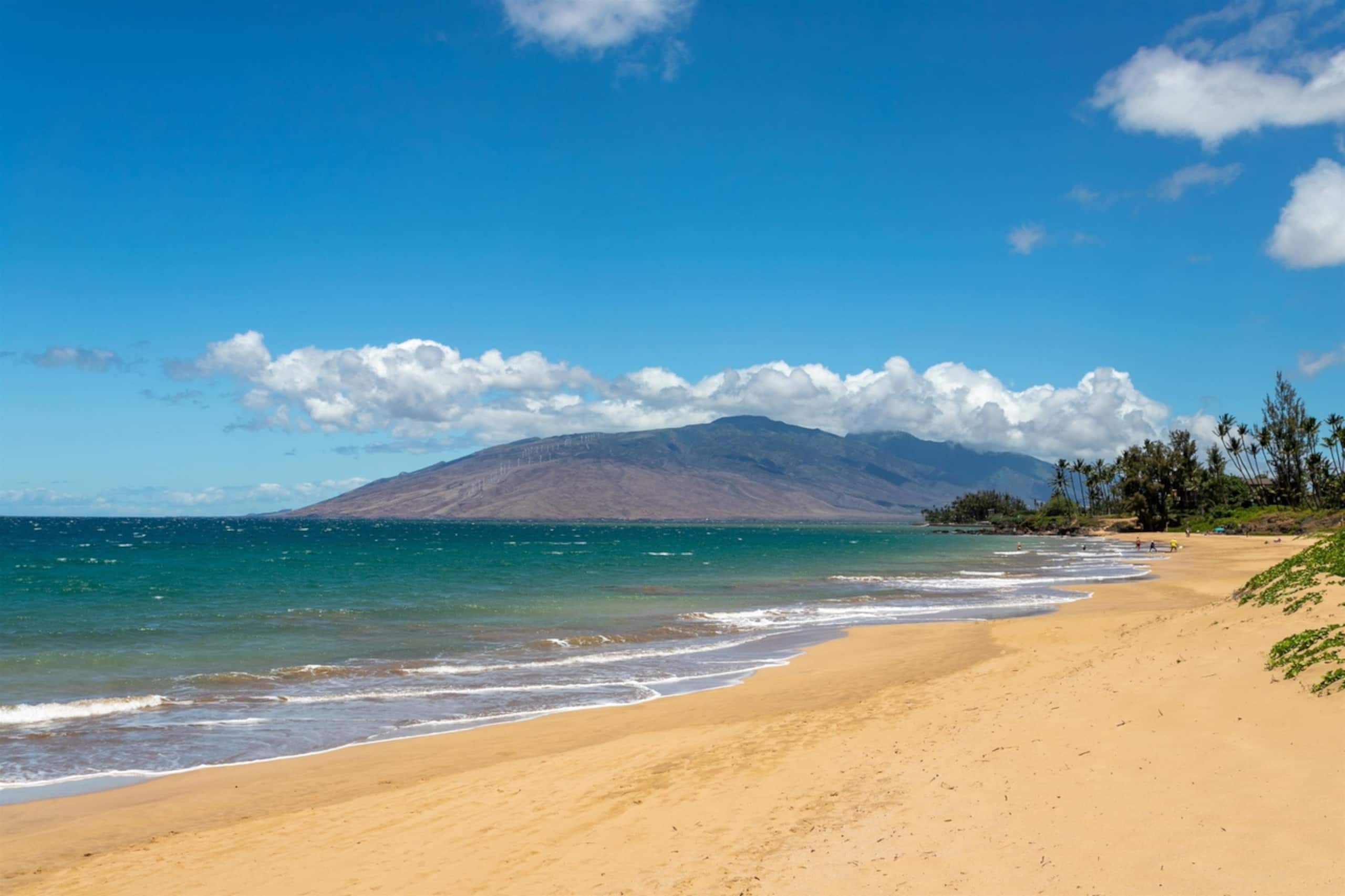 Condo in Kihei · ★4.89 · 2 bedrooms · 2 beds · 2 baths - Image 26