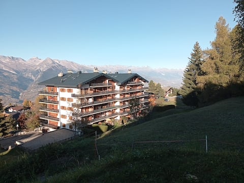 Le Cerf de Nendaz