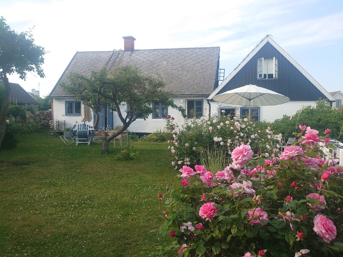 A charming cottage is surrounded by lush greenery and blooming pink roses. The garden features casual outdoor seating under a large umbrella. The cottage’s traditional architecture includes a thatched roof and blue window frames, creating a welcoming rustic atmosphere.