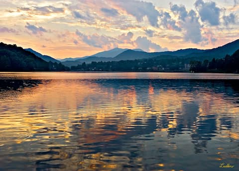 Top performing Airbnb: POTTS POINT AT LAKE JUNALUSKA in Lake Junaluska